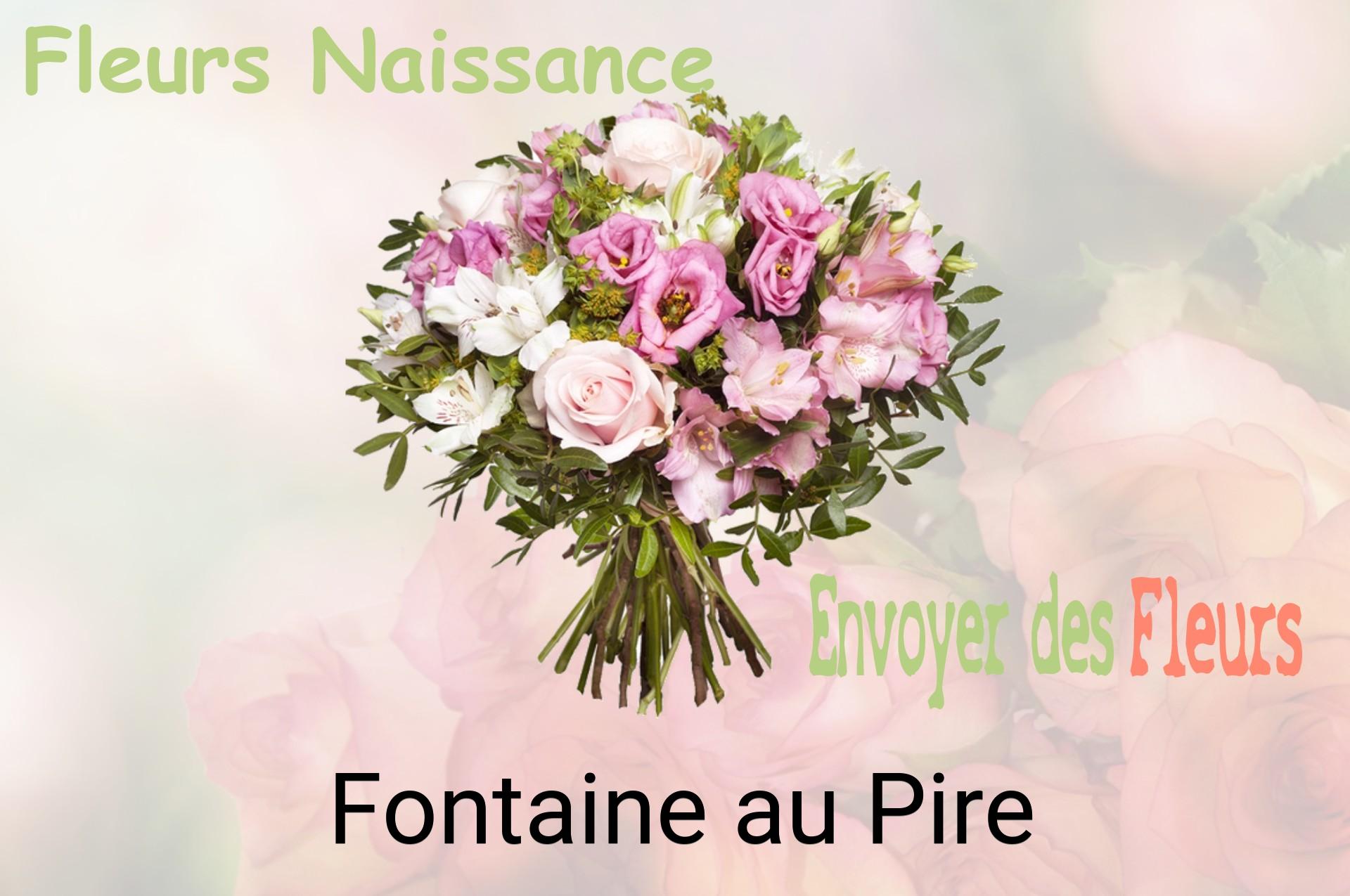Bouquet de fleurs de naissance livré à Fontaine-au-Pire